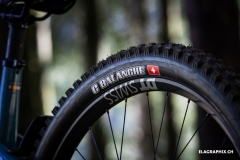 25.DH_WorldChamps-kit_EL5_7265