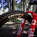 25.DH_WorldChamps-kit_EL6_5038