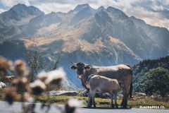 23.EDR_.Loudenvielle-race_ELA_6020