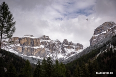 24.world-champs-Canazei_ELA_5939_ambiance