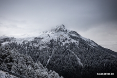 trackwalk_EL6_0471_25.DH-StLuc