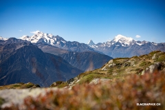 25.EDR_WorldChamps-S2-train_EL5_3552