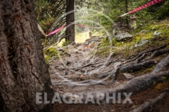trackwalk_EL6_0570_25.DH-StLuc