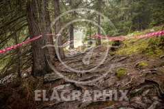 trackwalk_EL6_0571_25.DH-StLuc