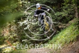 WIRIEHORN trainings-seeding